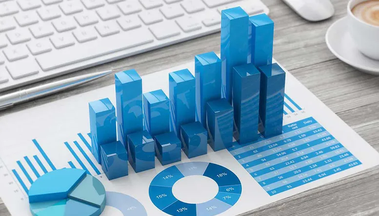 What do auditing companies in Dubai do