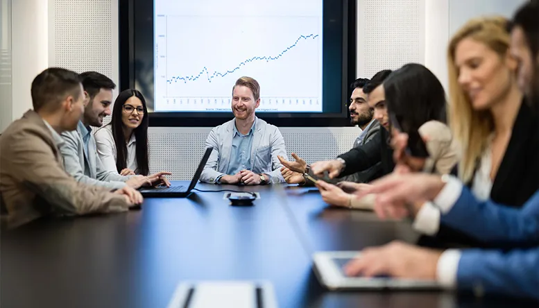 Why is an audit mandatory for companies in the UAE